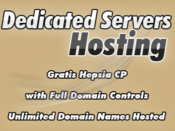 Half-price dedicated hosting server plan
